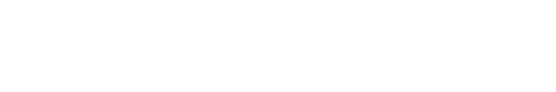 公司優(yōu)勢