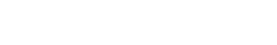 公司優(yōu)勢