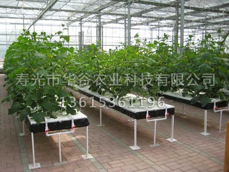 復合果菜栽培